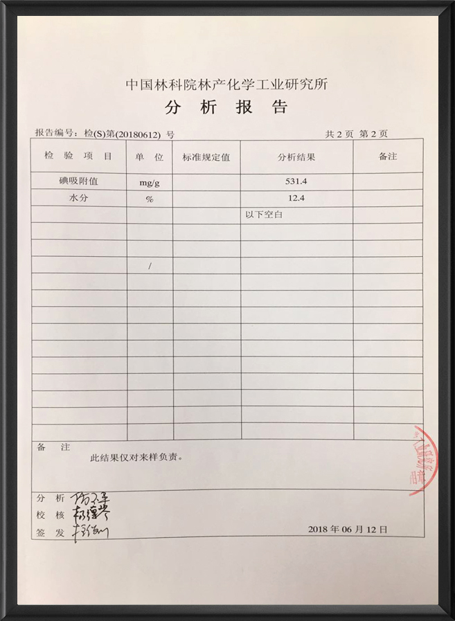 分析报告