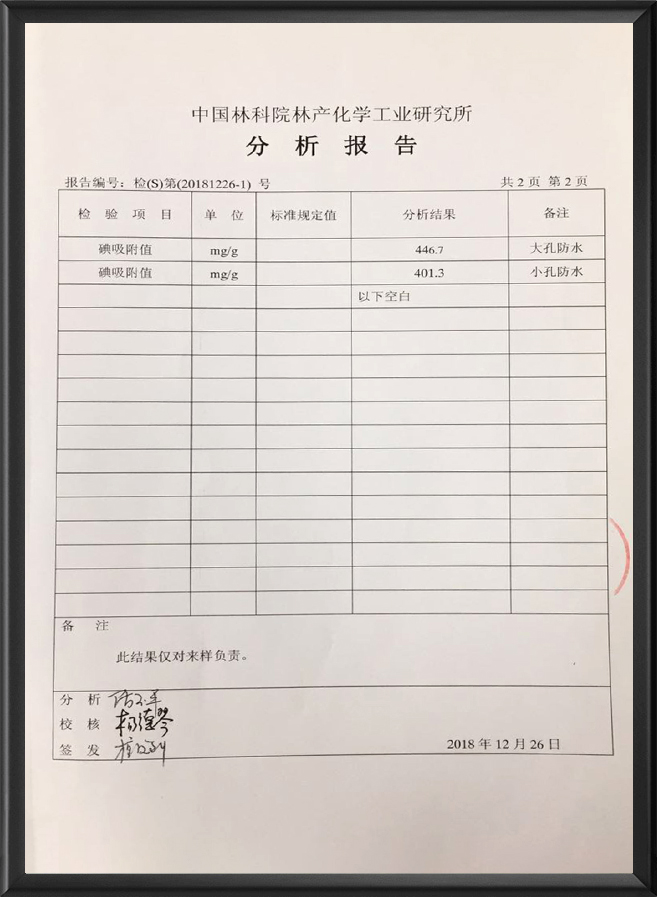 分析报告