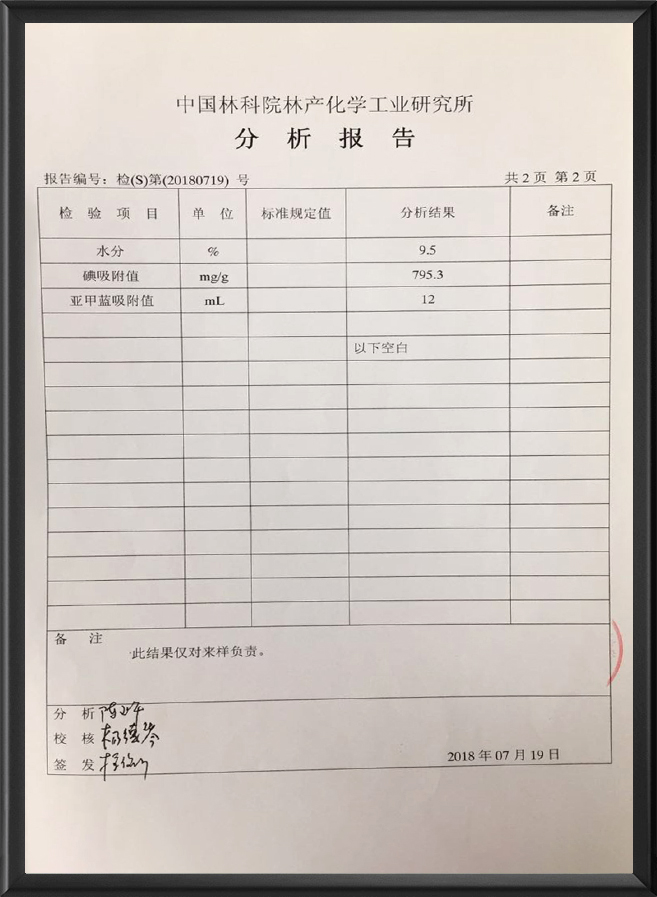 分析报告