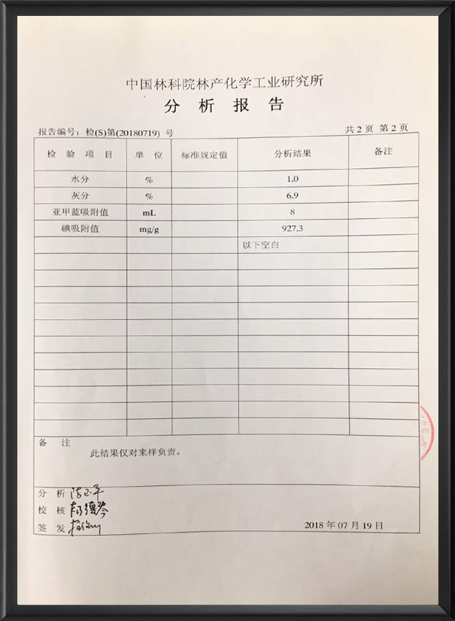 分析报告