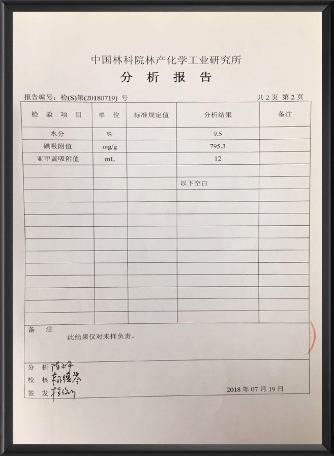 分析报告